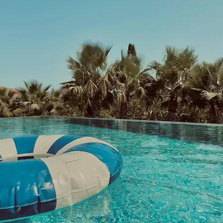 Frühstückspension Royal Tiki - D'hotes Avec Piscine Chauffee & Plaissan