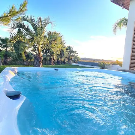 Royal Tiki - D'hotes Avec Piscine Chauffee & Frühstückspension Plaissan